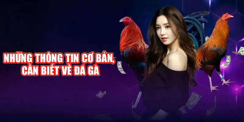 Những thông tin cơ bản, cần biết về Đá Gà luck8