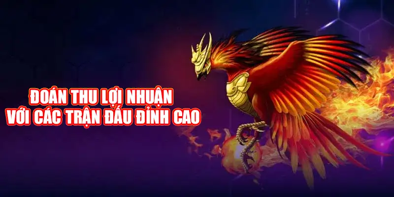 Trải nghiệm dự đoán thu lợi nhuận cùng các trận đấu đỉnh cao tại đá gà luck8