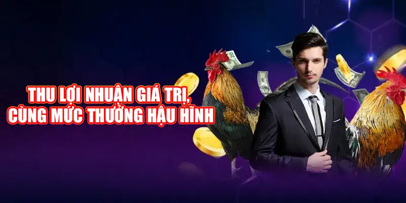 Thu lợi nhuận giá trị, hấp dẫn cùng mức thưởng hậu hĩnh cùng đá gà luck8