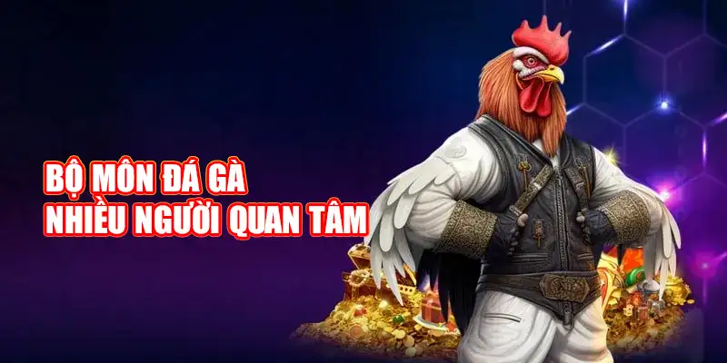 Bộ môn đá gà nhiều người quan tâm